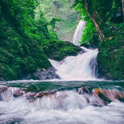 圣斗西游游戏(暂未上线)v1.1 安卓版